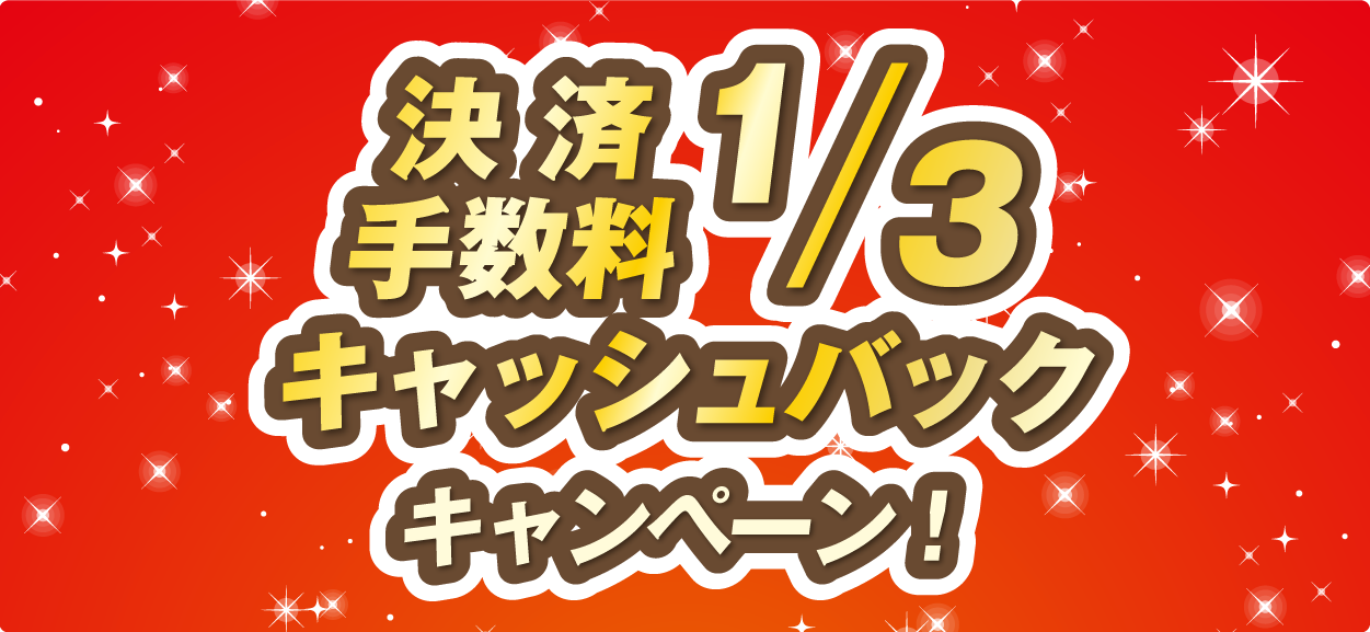 決済⼿数料の1/3キャッシュバックキャンペーン