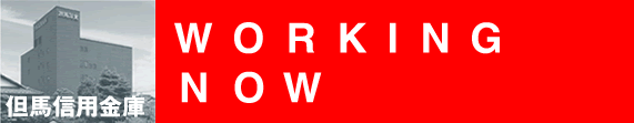 AnMp:WORKING NOW